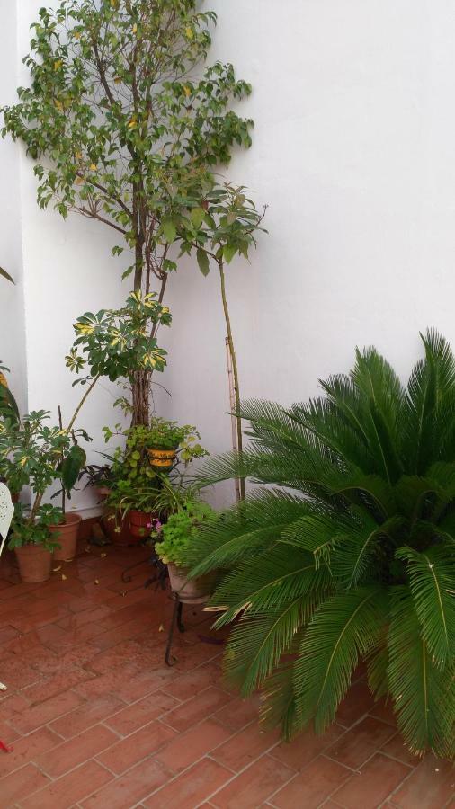 Patios Con Encanto Córdoba Exterior foto